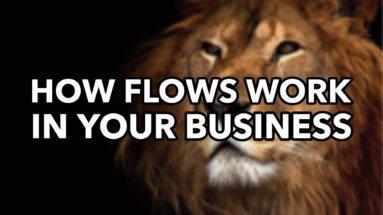 Flows - Network Marketing Mastery